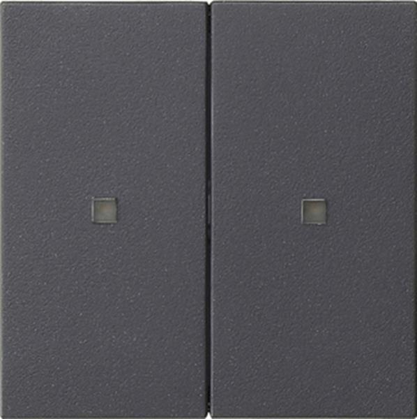 Gira Wippe 2f unbedruckt Kontrollf. System 55 Anthrazit