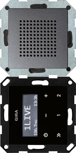 Gira UP-Radio RDS Lautsprecher System 55 Anthrazit