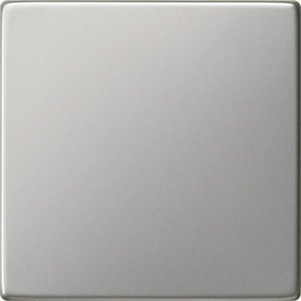 Gira Wippe Tastschalter System 55 Edelstahl