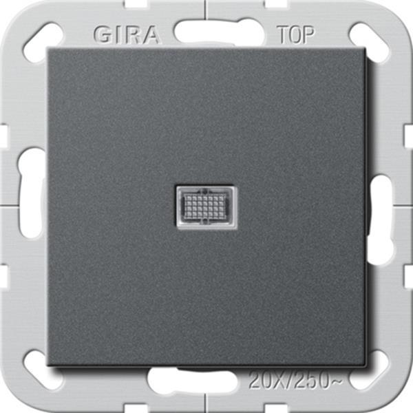 Gira Wipp-Kontroll BS 20 AX Aus 2-p System 55 Anthrazit