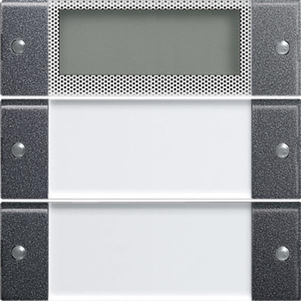 Gira Wippenset 2f Plus BSF System 55 Klar/Anthrazit