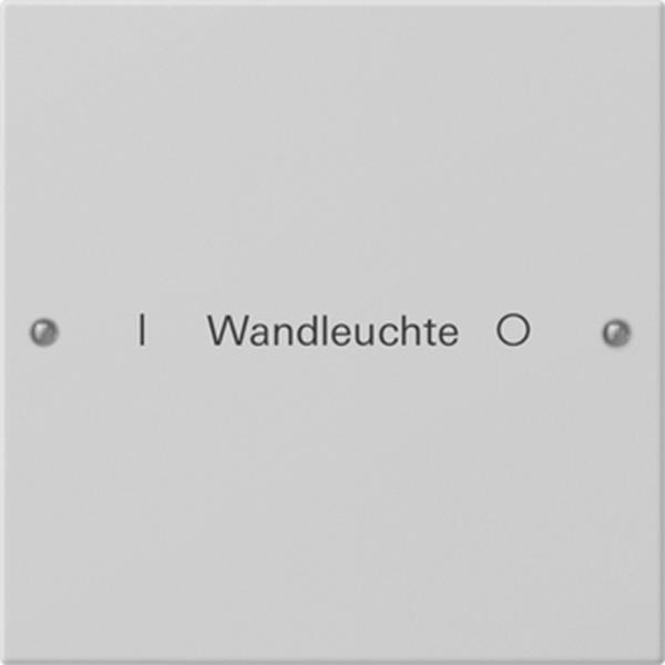 Gira Wippenset 1f beschr. System 55 Grau m(lack.)