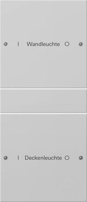 Gira Wippenset 2f (1+1) beschr. System 55 Grau m(lack.)