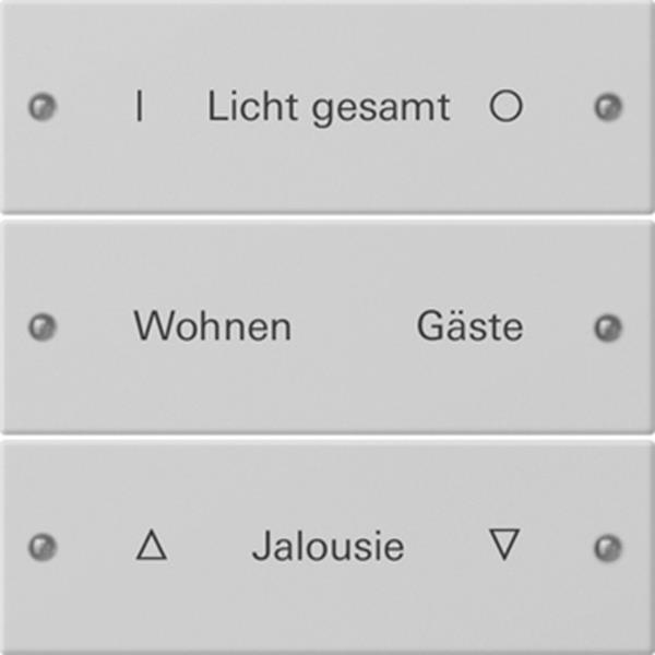 Gira Wippenset 3f beschr. System 55 Grau m(lack.)