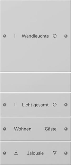 Gira Wippenset 4f (1+3) beschr. System 55 Grau m(lack.)