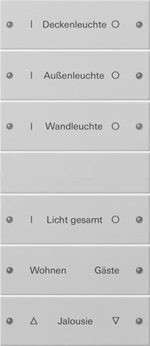 Gira Wippenset 6f (3+3) beschr. System 55 Grau m(lack.)