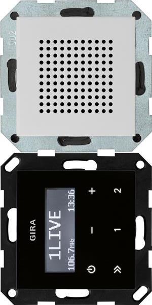 Gira UP-Radio RDS Lautsprecher System 55 Grau m