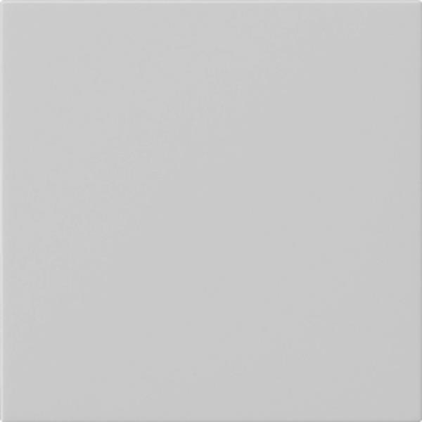 Gira S3000 Bedienaufs. System 55 Grau m