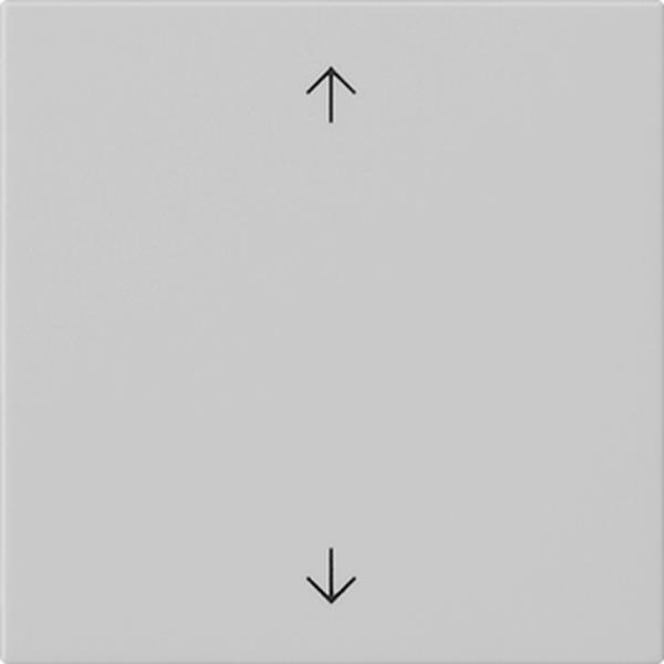 Gira S3000 Bedienaufs. Pfeile System 55 Grau m