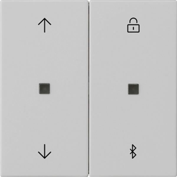 Gira S3000 Jal.-/Schaltuhr BT Pfeile System 55 Grau m