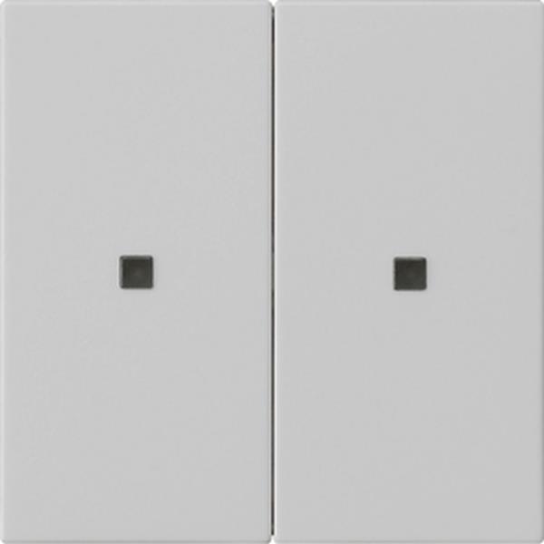 Gira Wippe 2f unbedruckt Kontrollf. System 55 Grau m