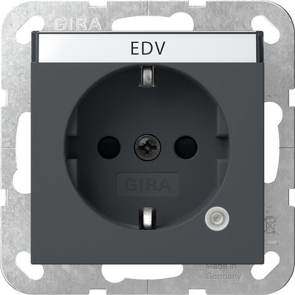 Gira SCHUKO-Steckdose Kontroll + BSF System 55 Anthrazit Gira SCHUKO-Steckdose Kontroll + BSF System 55 Anthrazit