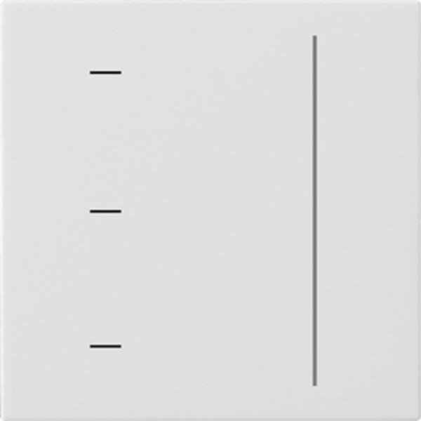 Gira S3000 Touchaufs. System 55 Reinweiß