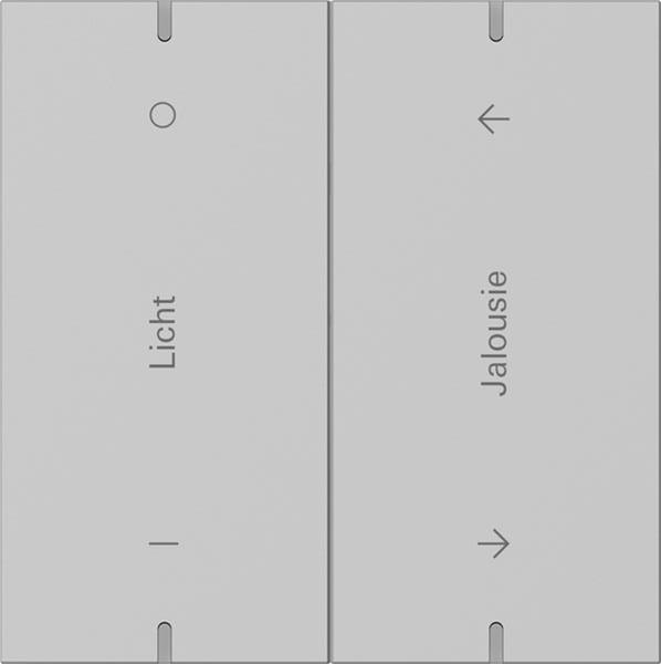 Gira Wippenset 2f indiv. Tastsens.4.95  Alum.Grau m(lack.)