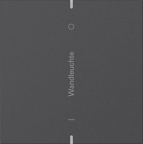 Gira Wippenset 1f indiv. Tastsens.4.95  Alum.Anthrazit(lack.)