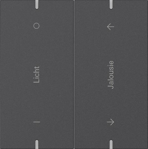 Gira Wippenset 2f indiv. Tastsens.4.95  Alum.Anthrazit(lack.)