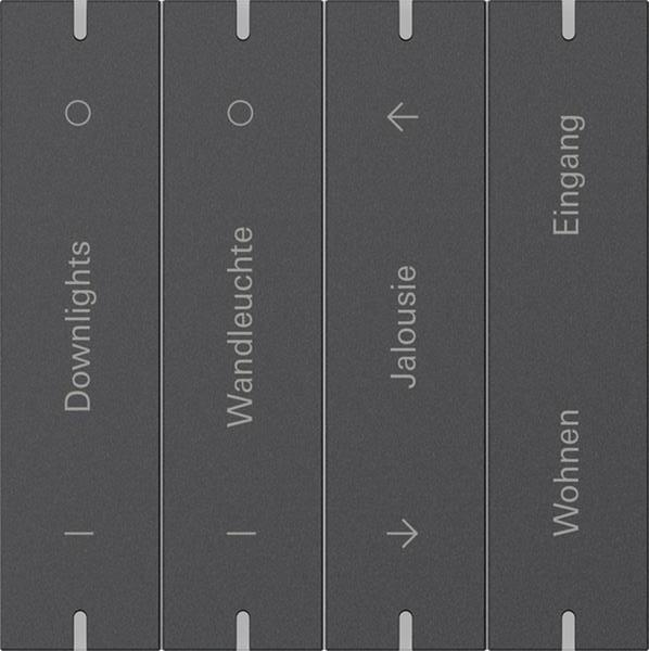 Gira Wippenset 4f indiv. Tastsens.4.95  Alum.Anthrazit(lack.)
