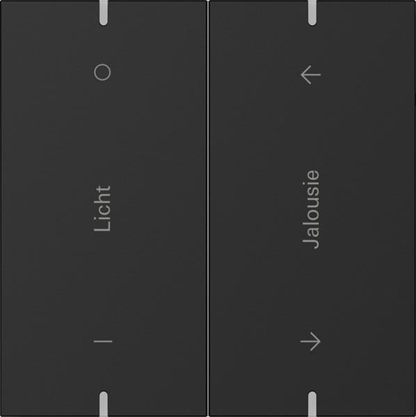 Gira Wippenset 2f indiv. Tastsens.4.95  Alum.Schwarz m(lack.)