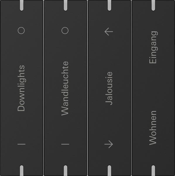 Gira Wippenset 4f indiv. Tastsens.4.95  Alum.Schwarz m(lack.)