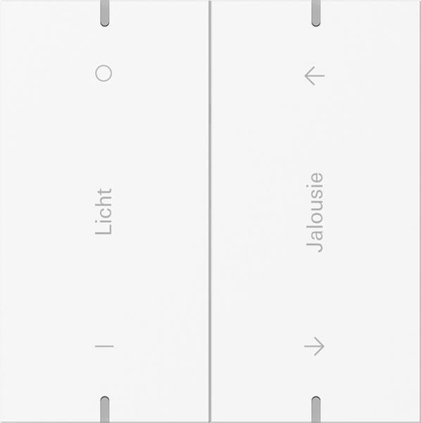 Gira Wippenset 2f indiv. Tastsens.4.95  Alum.Reinweiß m(lack.)