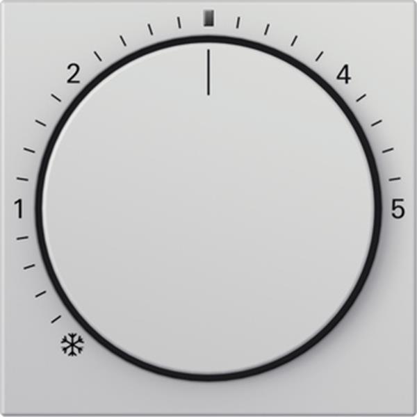 Gira Abdeckung RTR Kontroll System 55 Grau m