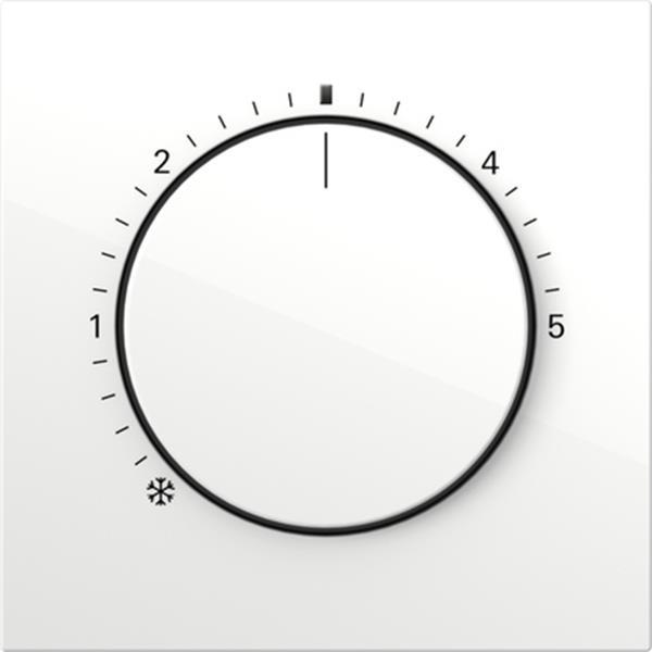 Gira Abdeckung RTR Kontroll Flächenschalter