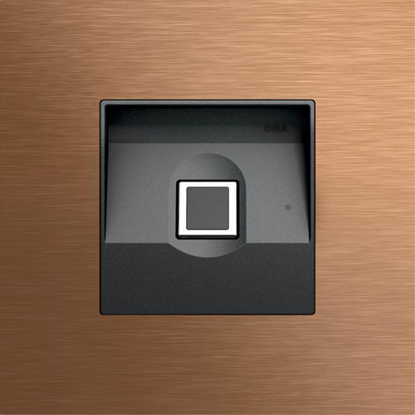 Gira Keyless In Fingerprintmodul System 106 Bronze