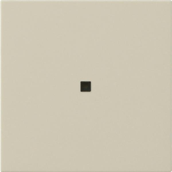 Gira Wippe 1f unbedruckt Kontrollf. System 55 Cremeweiß