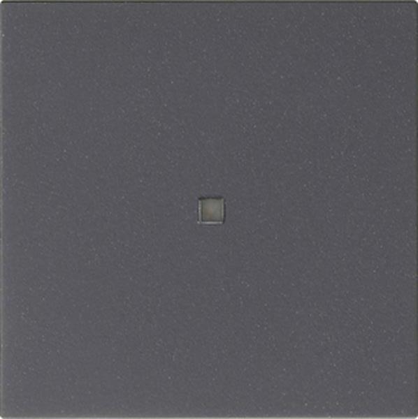 Gira Wippe 1f unbedruckt Kontrollf. System 55 Anthrazit