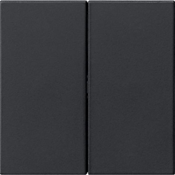 Gira Wippe 2f unbedruckt System 55 Schwarz m