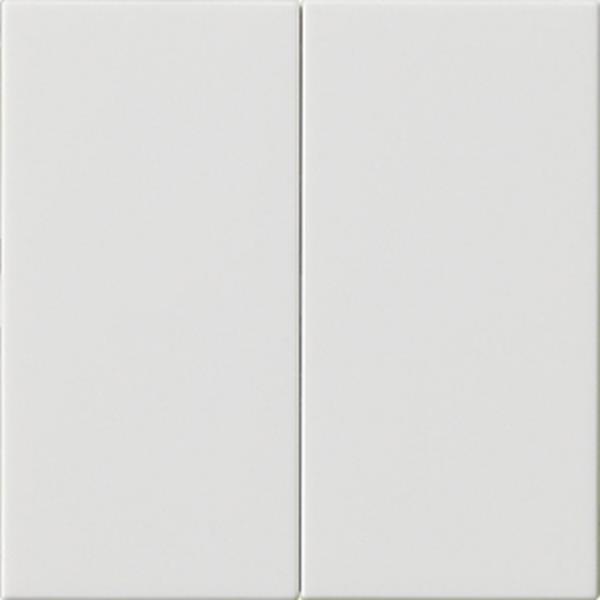 Gira Wippe 2f unbedruckt System 55 Reinweiß