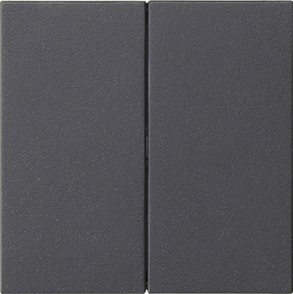 Gira Wippe 2f unbedruckt System 55 Anthrazit