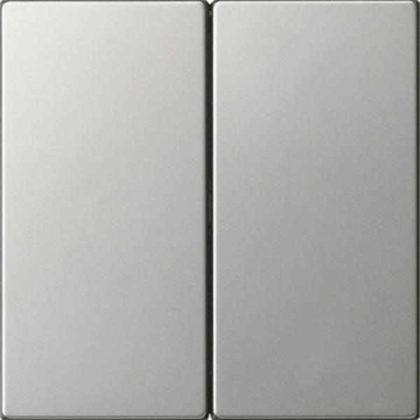 Gira Wippe 2f unbedruckt System 55 Edelstahl