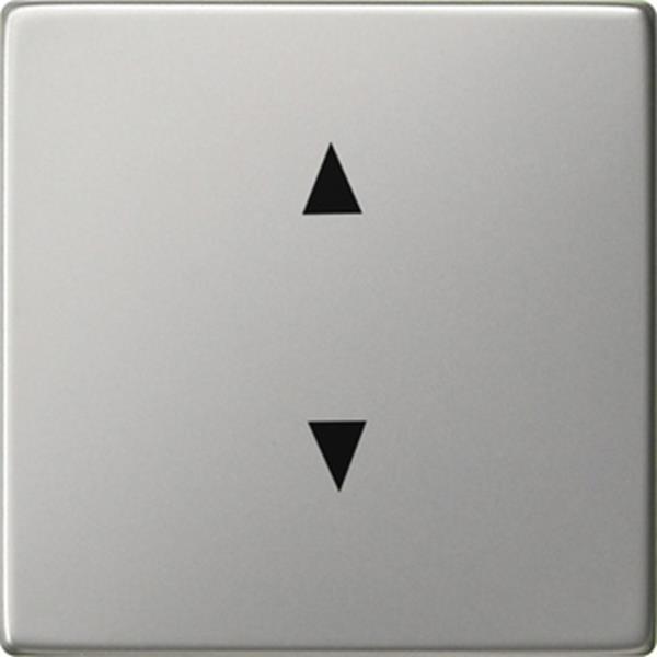 Gira Wippe Pfeile System 55 Edelstahl