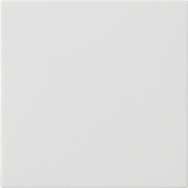 Gira Wippe 1f unbedruckt System 55 Reinweiß