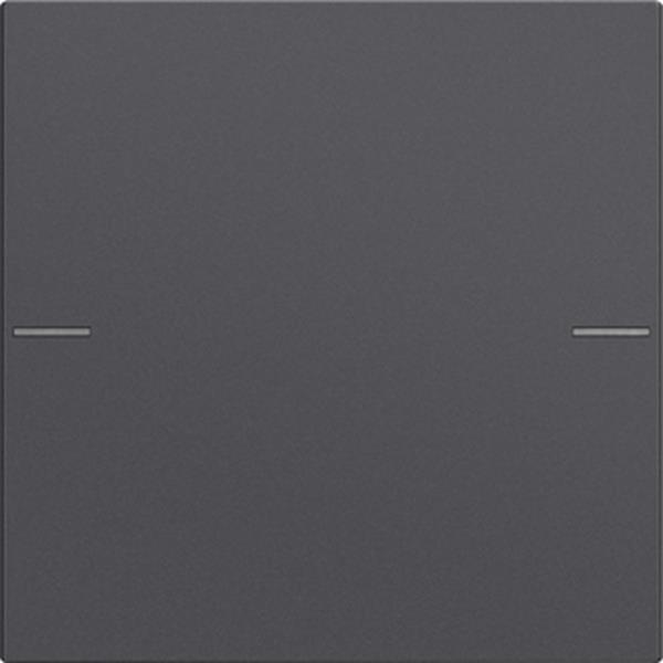 Gira Wippenset 1f Tastsens.4 System 55 Anthrazit