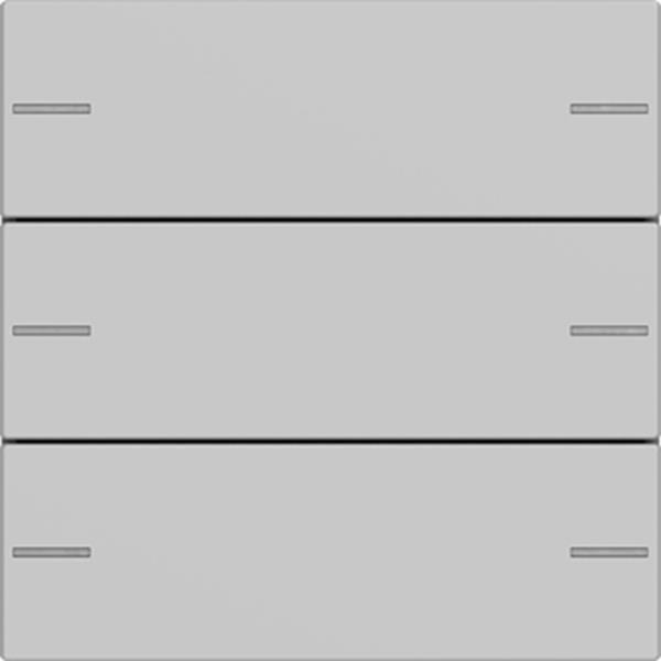 Wippenset 3f Tastsens.4 System 55 Grau m