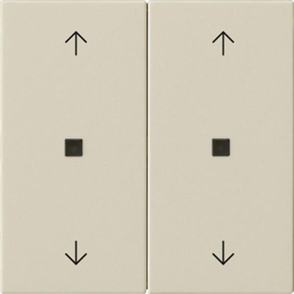 Gira Wippe 2f Pfeile Kontrollf. System 55 Cremeweiß