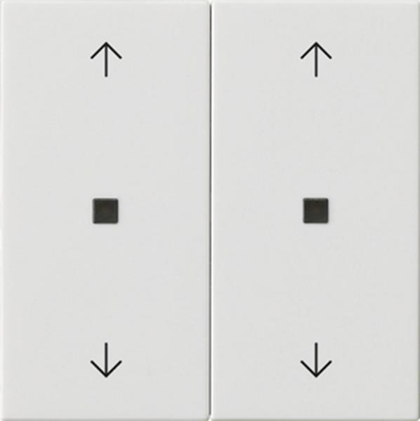 Gira Wippe 2f Pfeile Kontrollf. System 55 Reinweiß