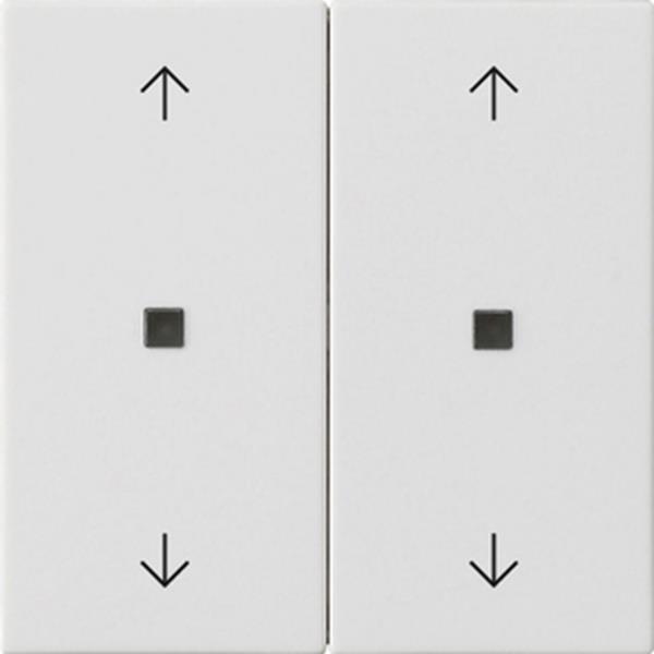 Gira Wippe 2f Pfeile Kontrollf. System 55 Reinweiß m