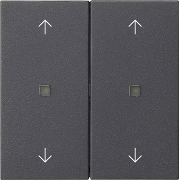 Gira Wippe 2f Pfeile Kontrollf. System 55 Anthrazit