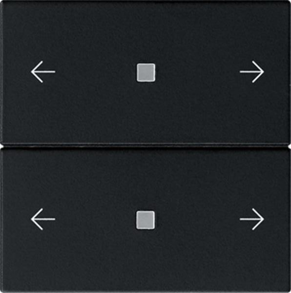 Gira Wippe 2f Pfeile Kontrollf. System 55 Schwarz m