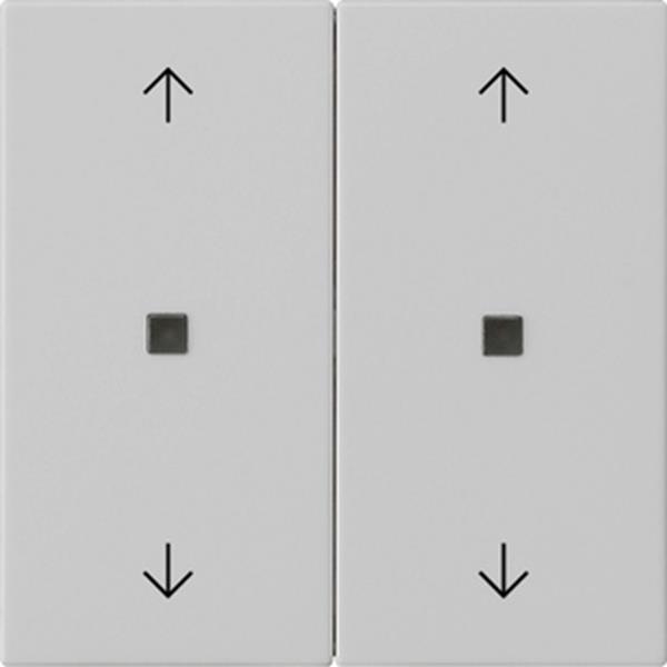 Gira Wippe 2f Pfeile Kontrollf. System 55 Grau m