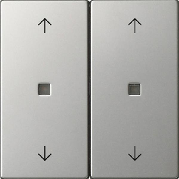 Gira Wippe 2f Pfeile Kontrollf. System 55 Edelstahl