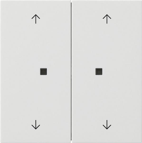 Gira Wippe 2f Pfeile Kontrollf. Flächenschalter Reinweiß