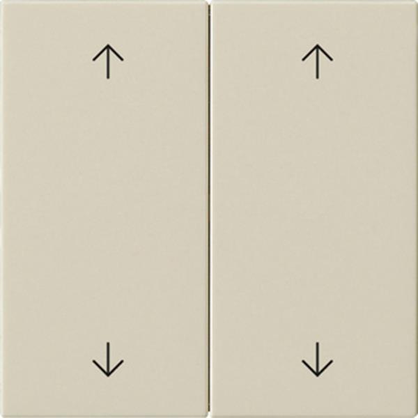 Gira Wippe 2f Pfeile System 55 Cremeweiß