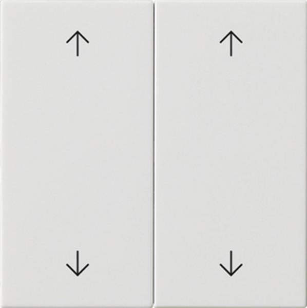 Gira Wippe 2f Pfeile System 55 Reinweiß