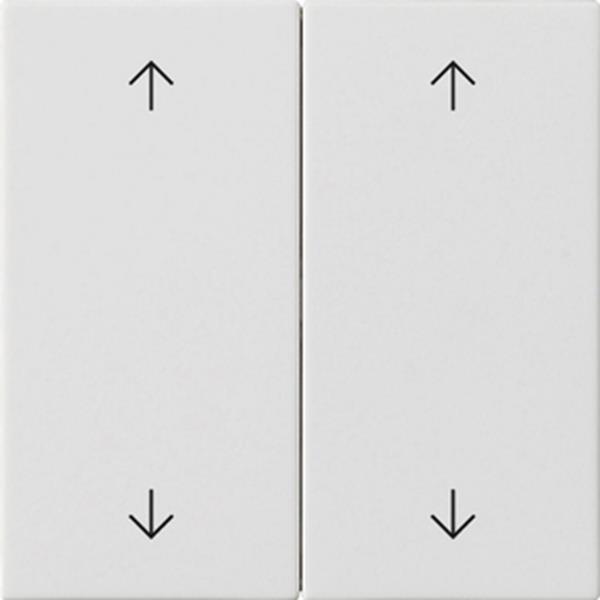 Gira Wippe 2f Pfeile System 55 Reinweiß m