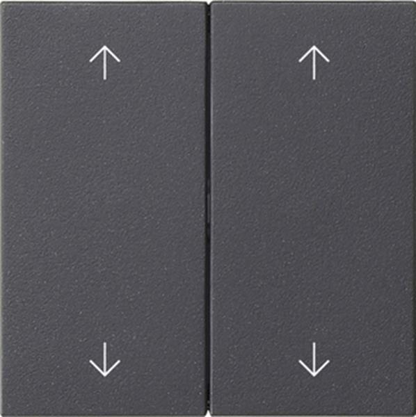 Gira Wippe 2f Pfeile System 55 Anthrazit