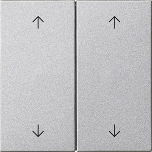 Gira Wippe 2f Pfeile System 55 F Alu